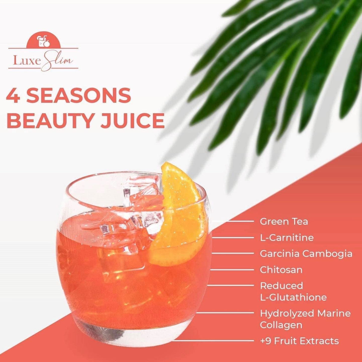 Luxe Slim 4 Seasons Beauty Juice Powder - 10 Sachets - image 2