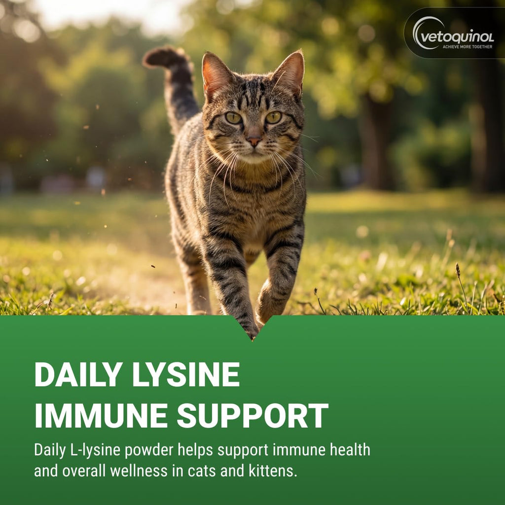 Vetoquinol Viralys Lysine Powder for Cats - 100 g - image 2