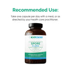 Rootcology Spore Flora by Dr. Izabella Wentz Gut Probiotic - 60 Capsules - image 6