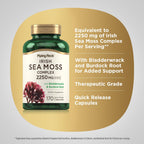 Piping Rock Irish Sea Moss Capsules - 170 Count - image 4