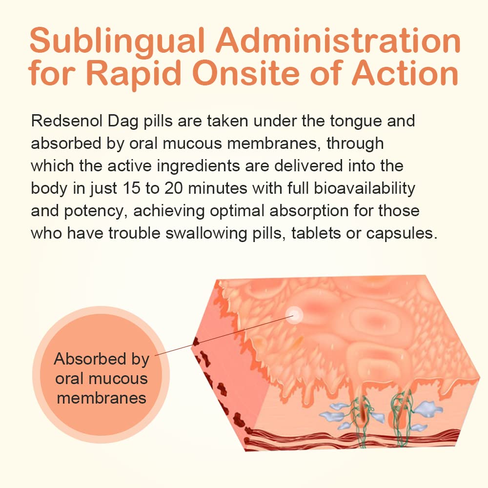 REDSENOL DAG Sublingual Ginseng Extract - 960 Pills - image 3