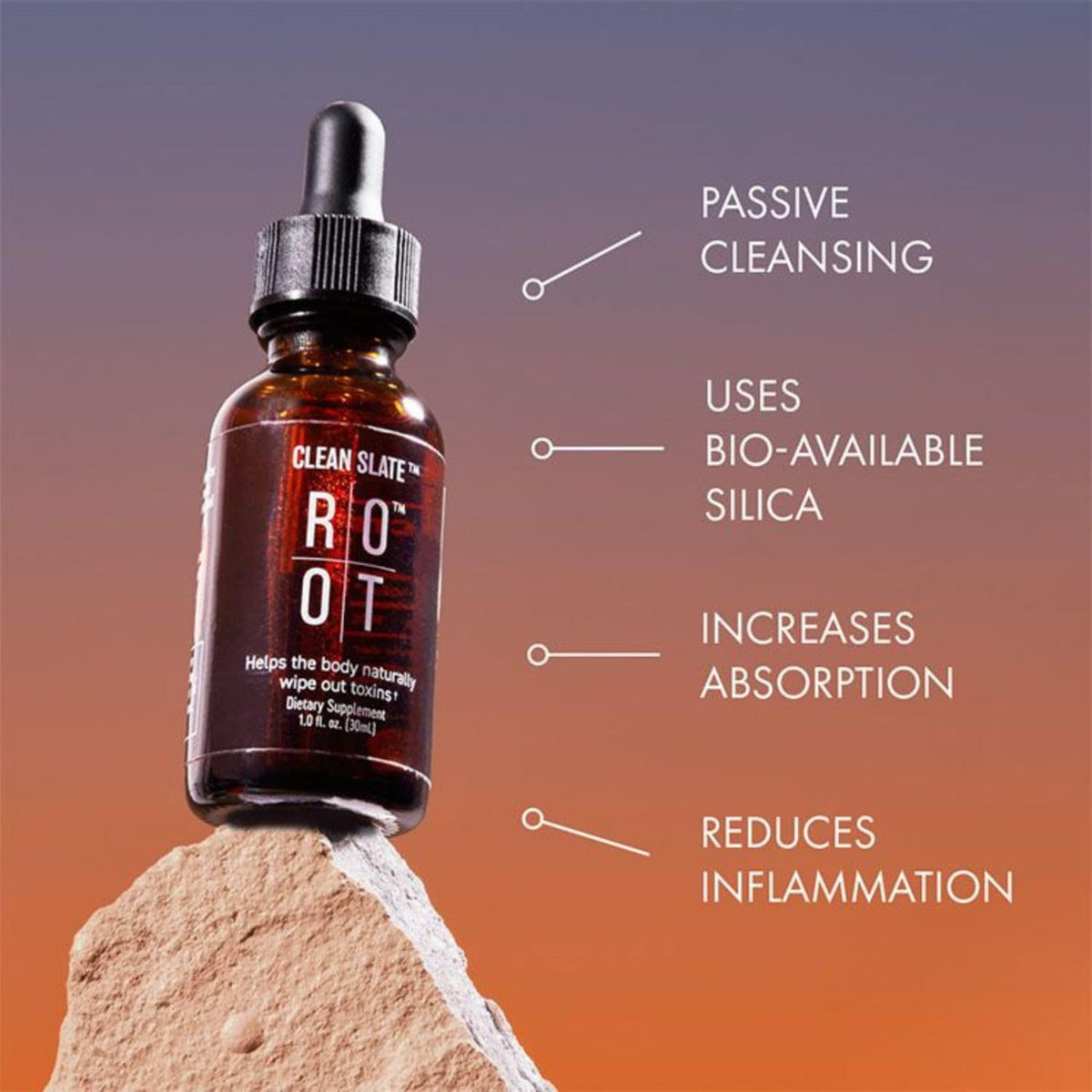THEROOTBRANDS Root Clean Slate Bioavailable Silicic Acid - 1 Fl Oz - image 2