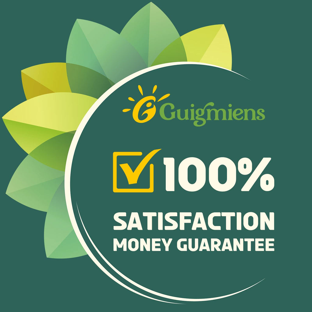 Guigmiens Liposomal Glutathione 2000 MG