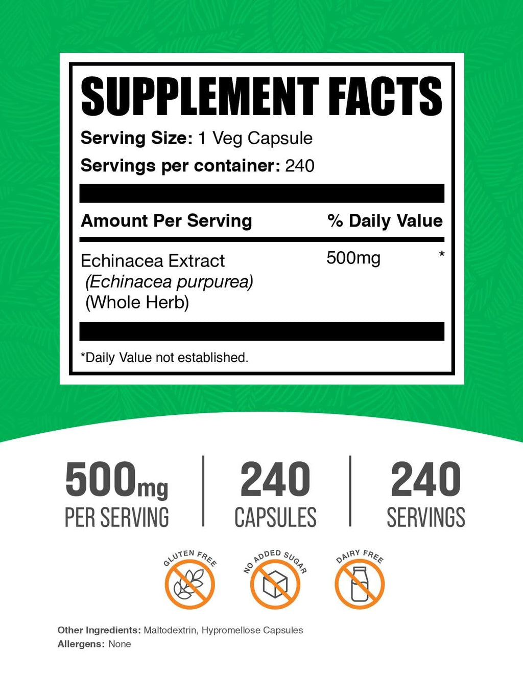 BulkSupplements Echinacea Extract 500mg - 240 Capsules - image 2