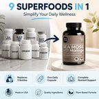 Atlantic Naturals Sea Moss Capsules with Ashwagandha & Ginger - 60 Softgels - image 3