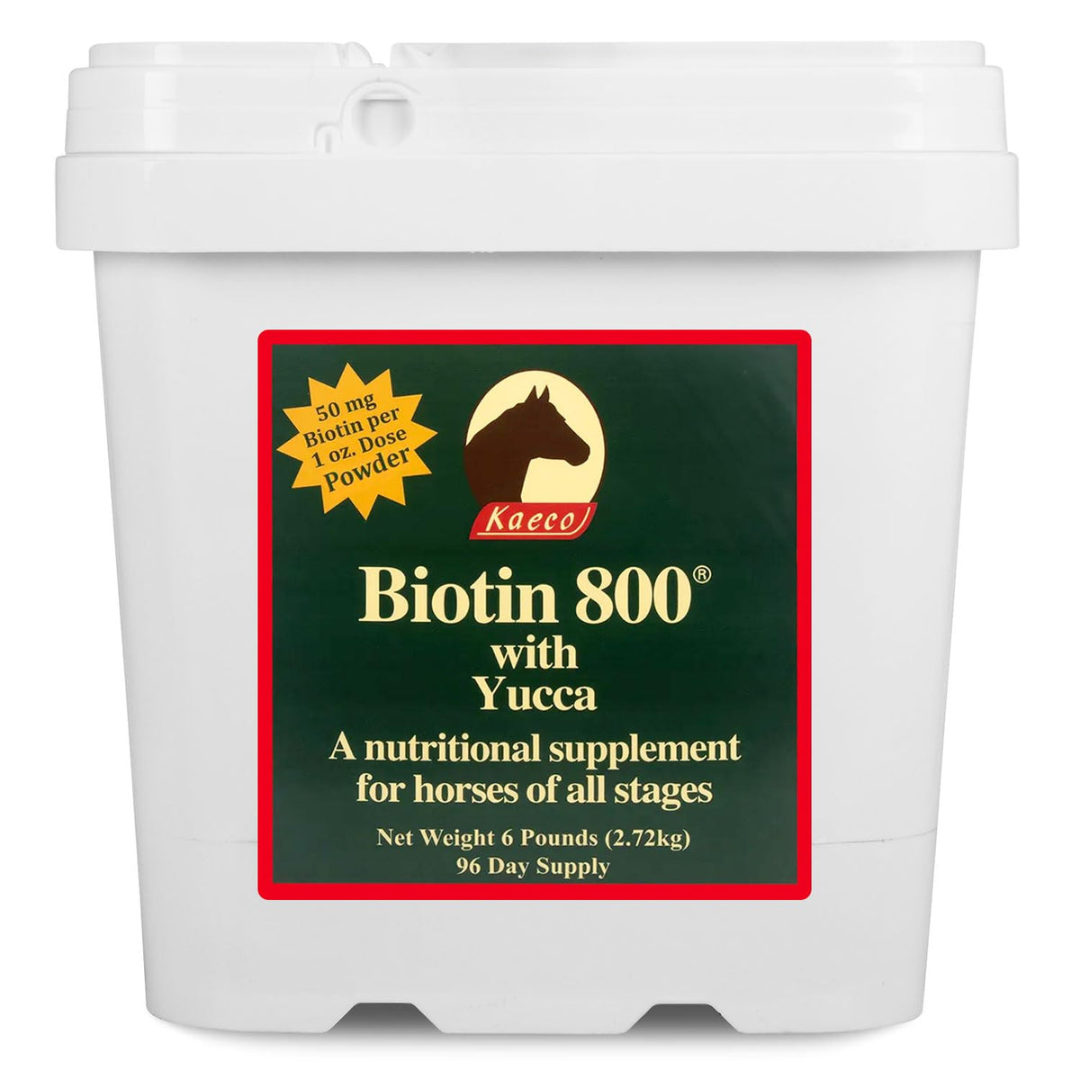 KAECO GROUP INC Biotin 800 Powder - 6 lb