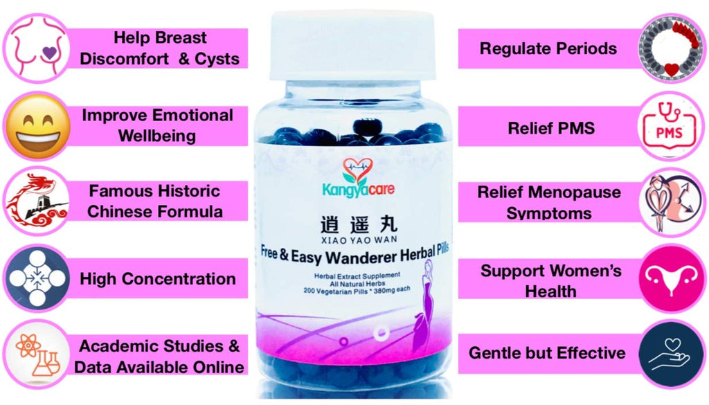Kangyacare Xiao Yao Wan Free & Easy Wanderer Herbal Pills - 200 Count - image 2