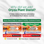 LABO Nutrition CHOLRestore