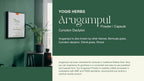 YOGIS HERBS Arugampul Powder (Bermuda Grass/Cynodon dactylon)