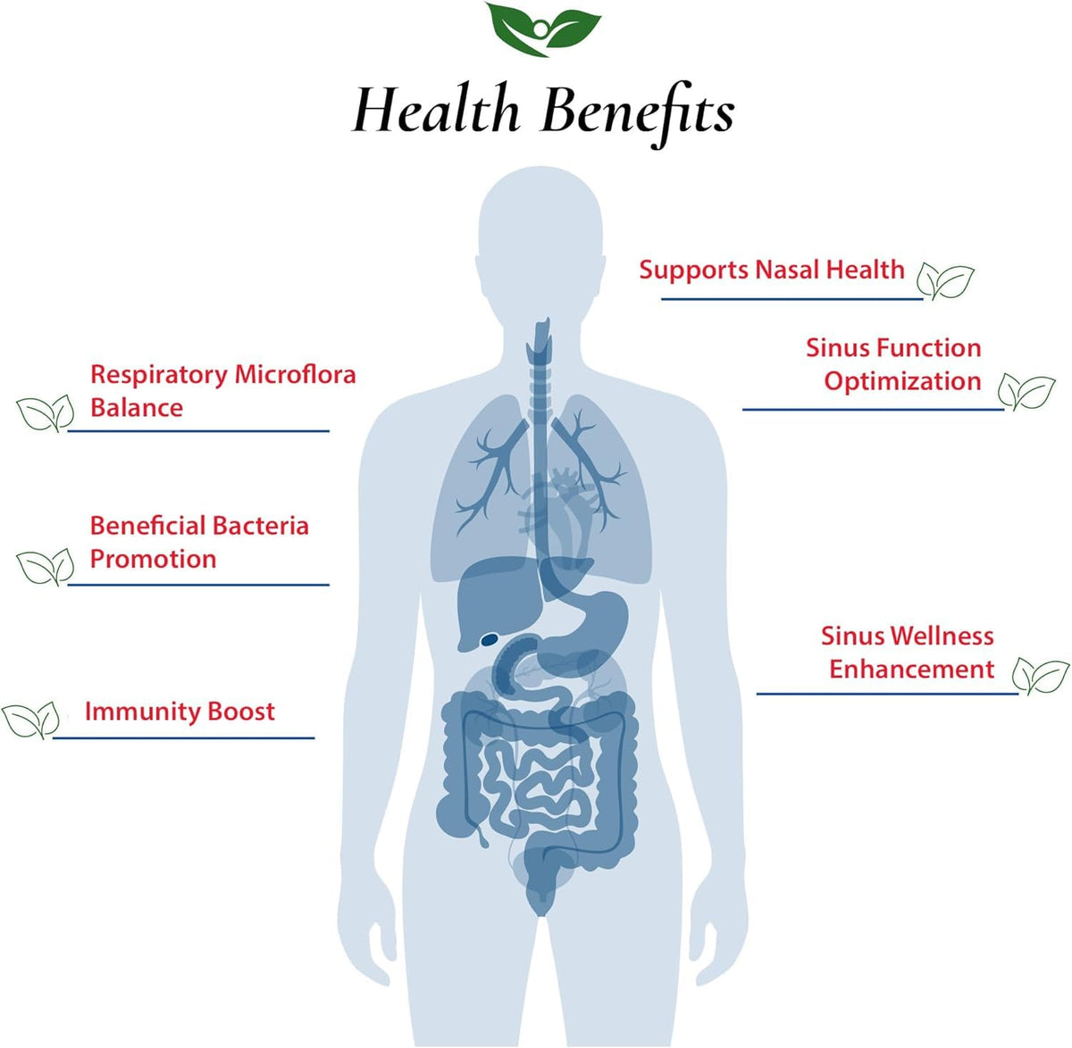 Foods For Gut Lactobacillus Sakei Probiotic Powder - 30g - image 4