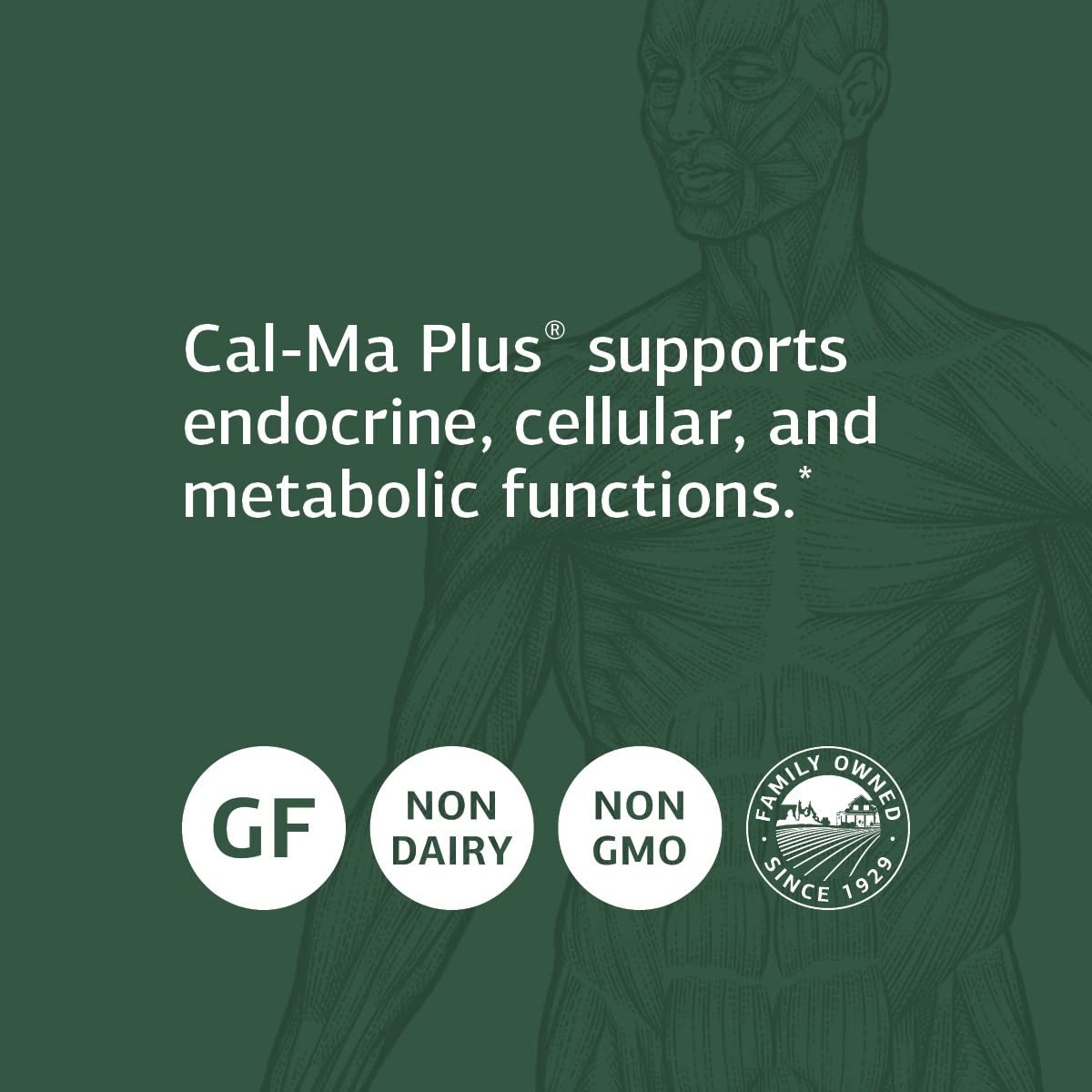 Standard Process Cal-Ma Plus Calcium & Endocrine Supplement - 90 Tablets - image 4