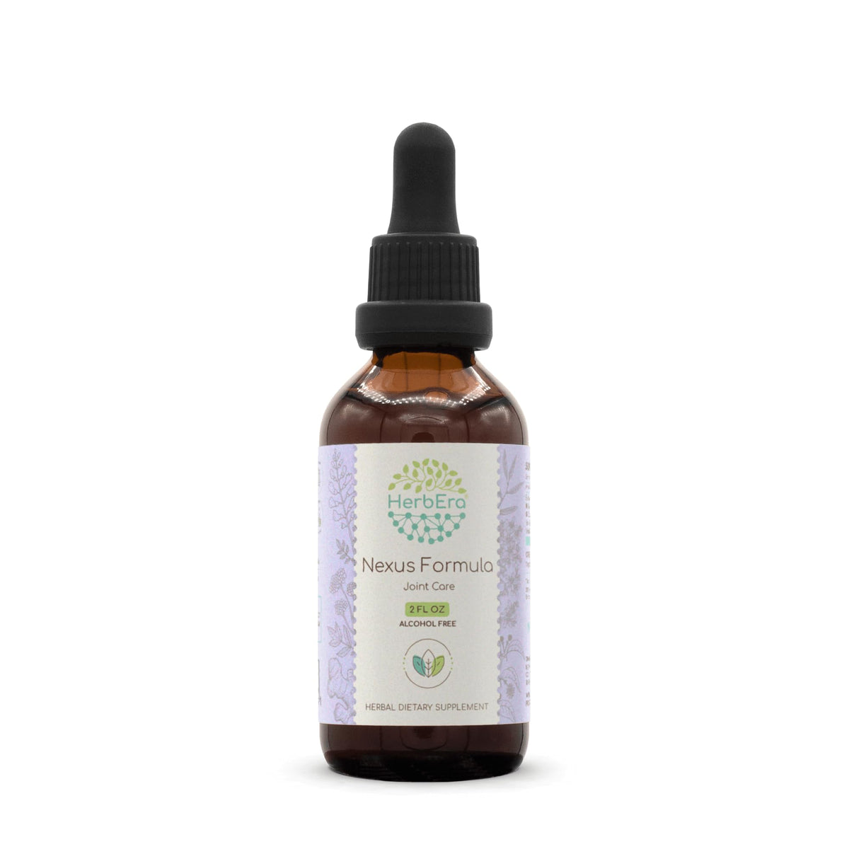 HerbEra Nexus Formula Alcohol-Free Extract Tincture: Ginger Root