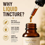 FUNGISIP Lion's Mane Mushroom Tincture Drops for Focus & Clarity - 2 oz - image 5