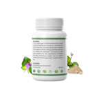 Punarnava Capsules Natural Diuretic Urinary & Kidney Support - 90 Capsules - image 2
