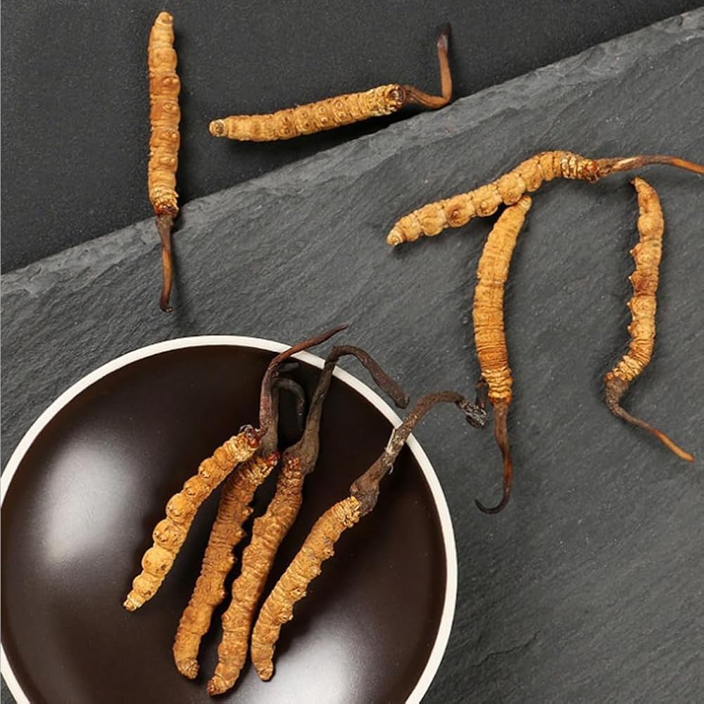 CHENXXLD Cordyceps Sinensis Chongcao Herbal Supplement - 3g