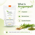 YOGIS HERBS Arugampul Powder (Bermuda Grass/Cynodon dactylon)