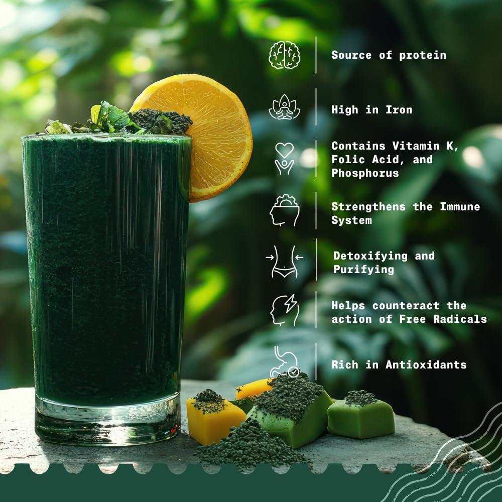 NaturaleBio Spirulina Powder Vegan and Pure. Cultivated in India