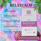Secrets Of Tea Morning Sickness Relief Pregnancy Tea - 20 Count - image 3