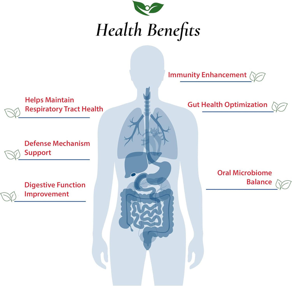 Foods For Gut Lactobacillus Salivarius Probiotic Powder - 30g - image 4