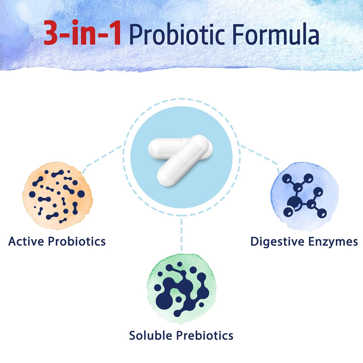 Bonawell Probiotics 120 Billion CFU 32 Strains - 30 Vegetarian Capsules - image 4