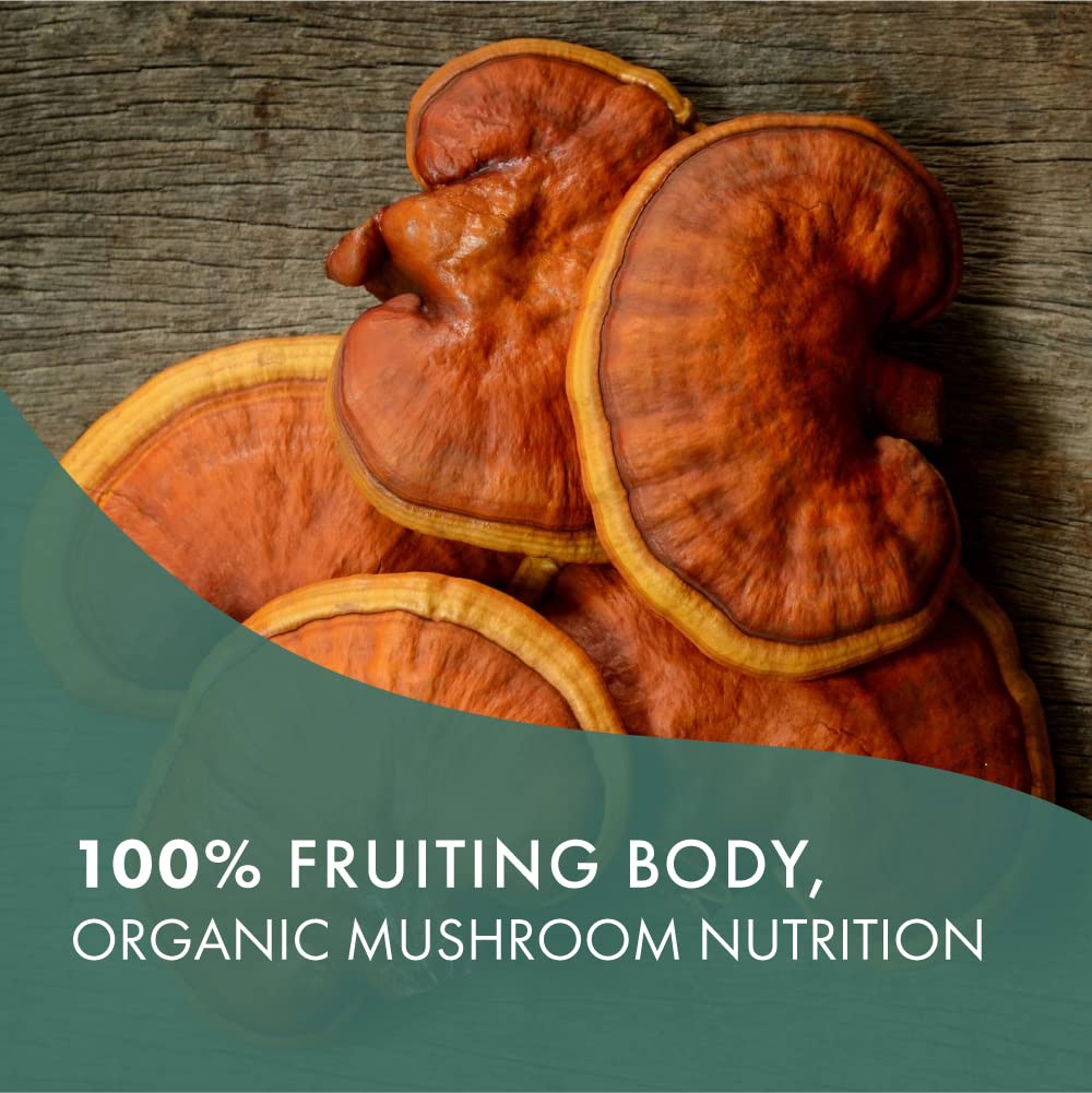 PURE ESSENCE LABS MyPure Reishi 4X Organic Mushrooms Supplement
