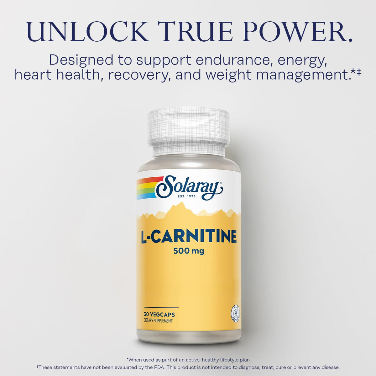 SOLARAY L-Carnitine 500 mg