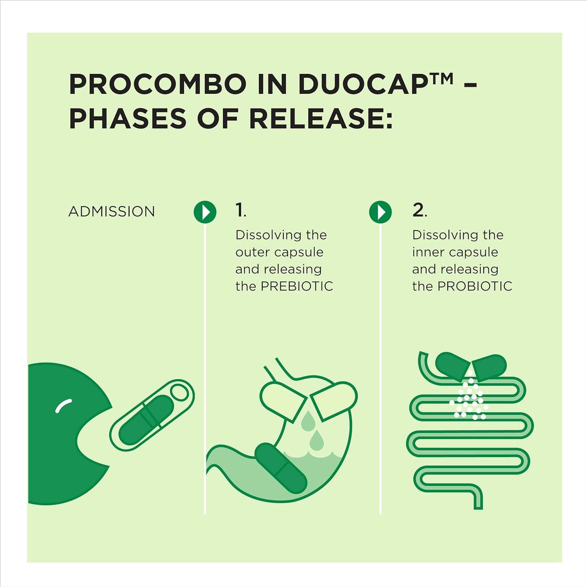 ProCombo - The Smart synbiotic with targeted delivery of The Good