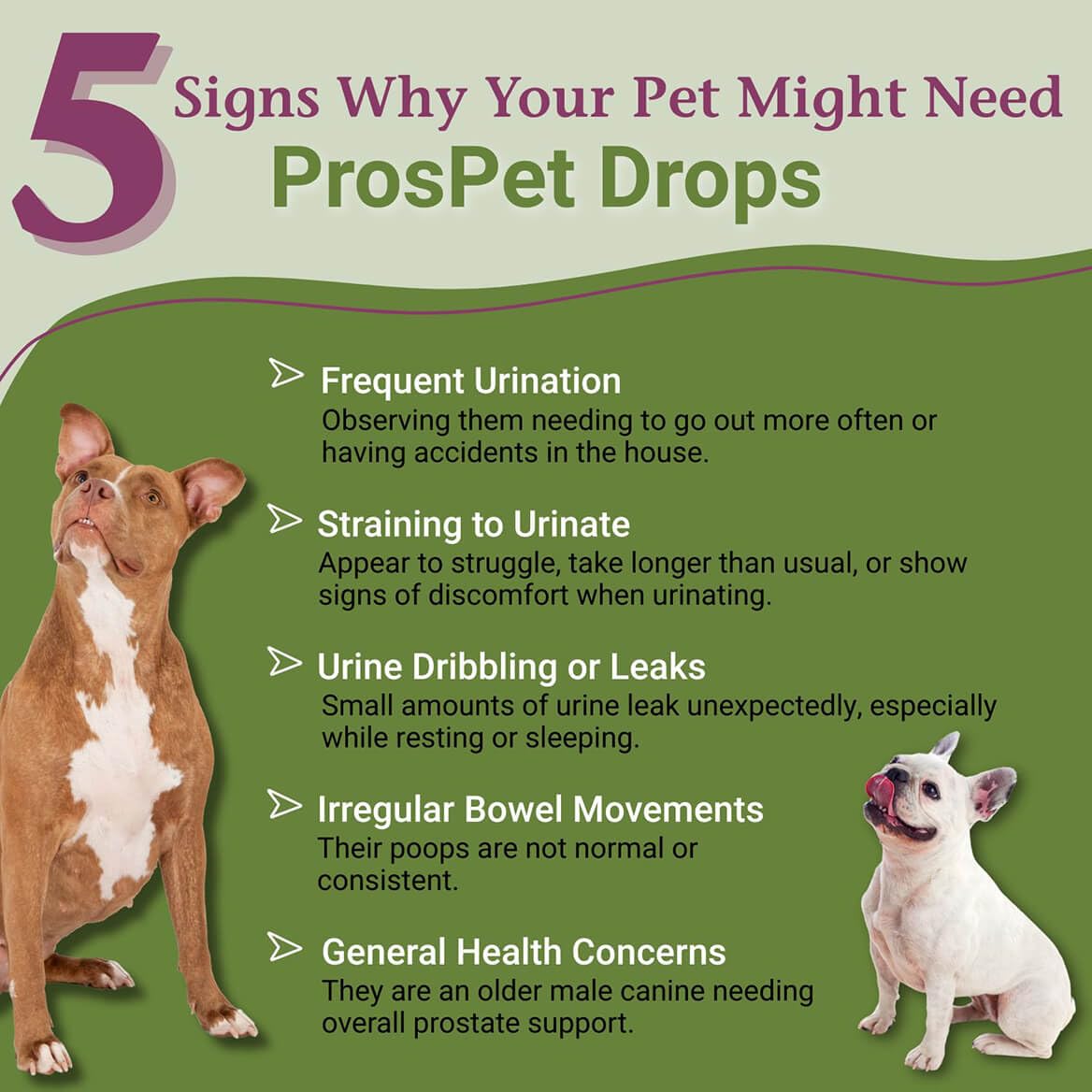 PetAlive ProsPet Drops for Dog Prostate & Bladder Health - 2 Fl Oz - image 2