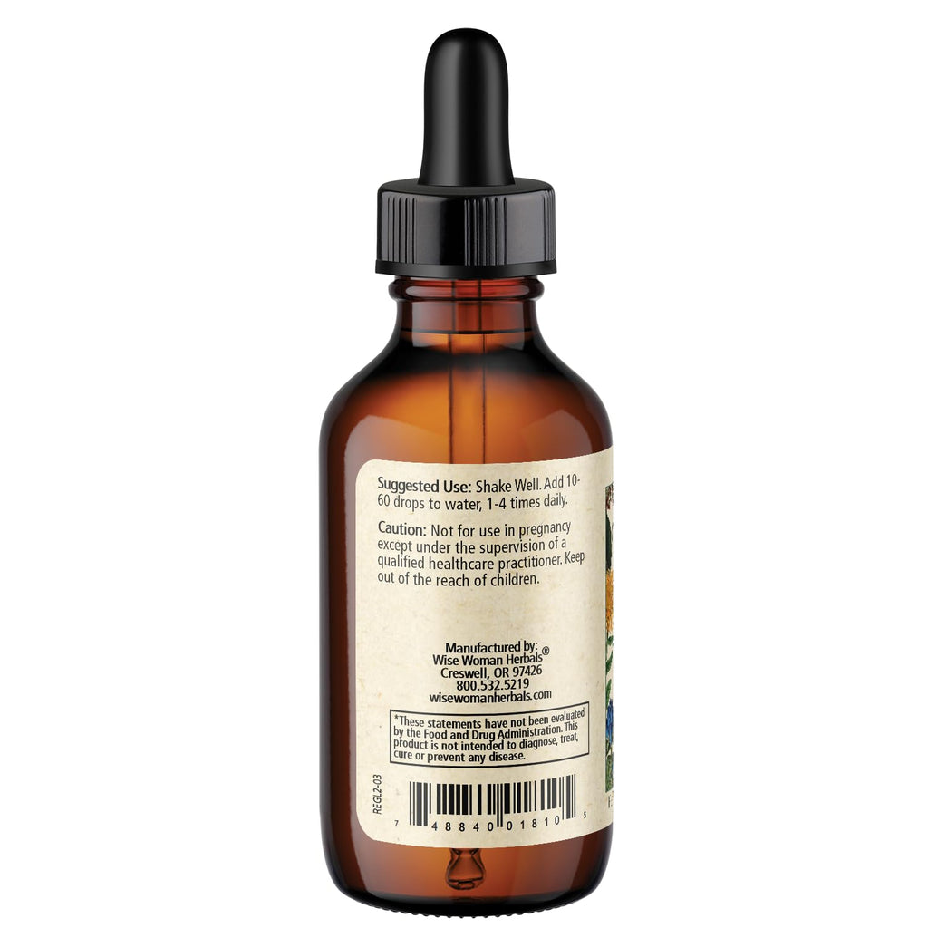 Wise Woman Herbals RespiGuard Glycerite Respiratory Support - 2 oz - image 3