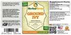 Herbal Terra LLC Ground Ivy (Glechoma hederacea) Tincture