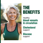LABO Nutrition VesseCLEAR CX: Nattokinase NSK-SD + Gamma Oryzanol