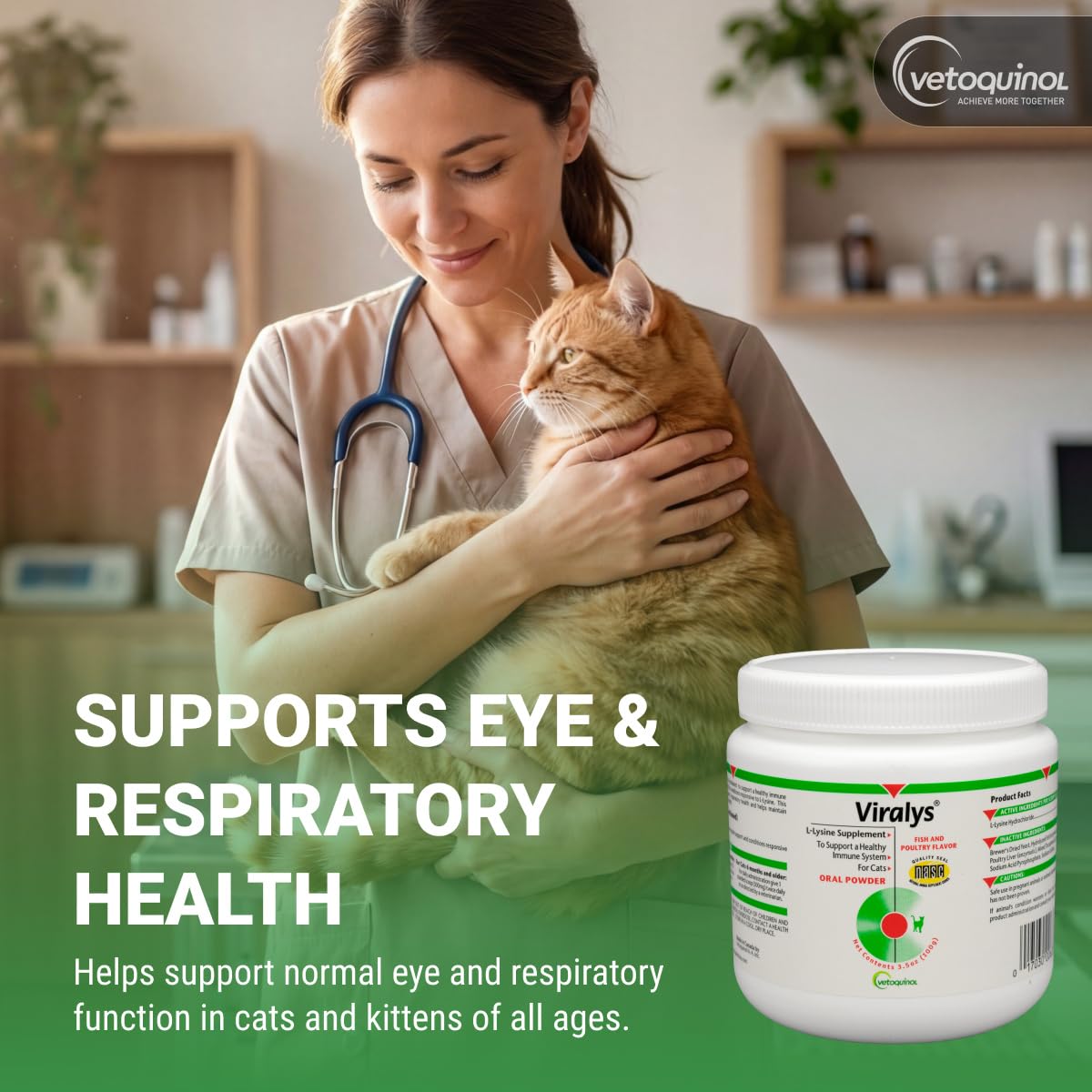 Vetoquinol Viralys Lysine Powder for Cats - 100 g - image 3
