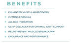 BOOST-IT NUTRITION Durasport Sport BCAA Powder - 30 Servings - image 7
