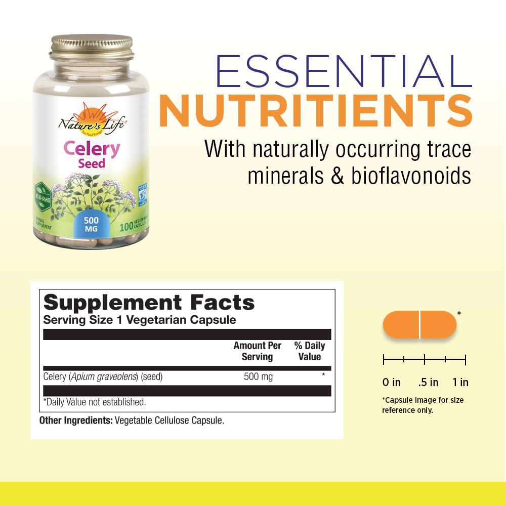Nature's Herbs Celery Seed 500 mg Circulation Support - 100 Capsules - image 2