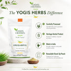 YOGIS HERBS Arugampul Powder (Bermuda Grass/Cynodon dactylon)
