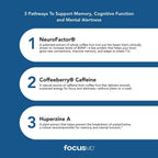 Scimera Bioscience ScimeraMD FocusMD Brain Supplement - 30 Capsules - image 4