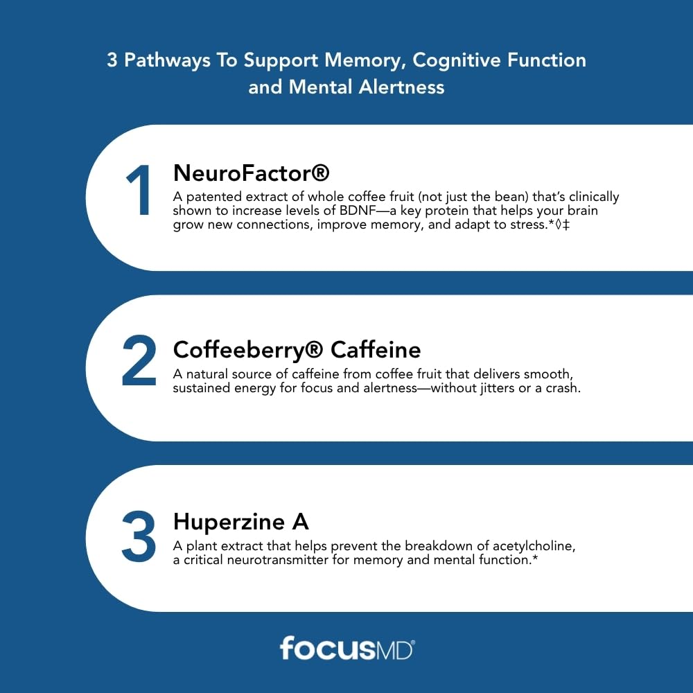 Scimera Bioscience ScimeraMD FocusMD Brain Supplement - 30 Capsules - image 4