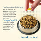 Pet Health Solutions Omega-Caps Extra Strength Large Breeds - 1000 Softgels - image 4