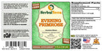 Herbal Terra LLC Evening Primrose (Oenothera Biennis) Tincture