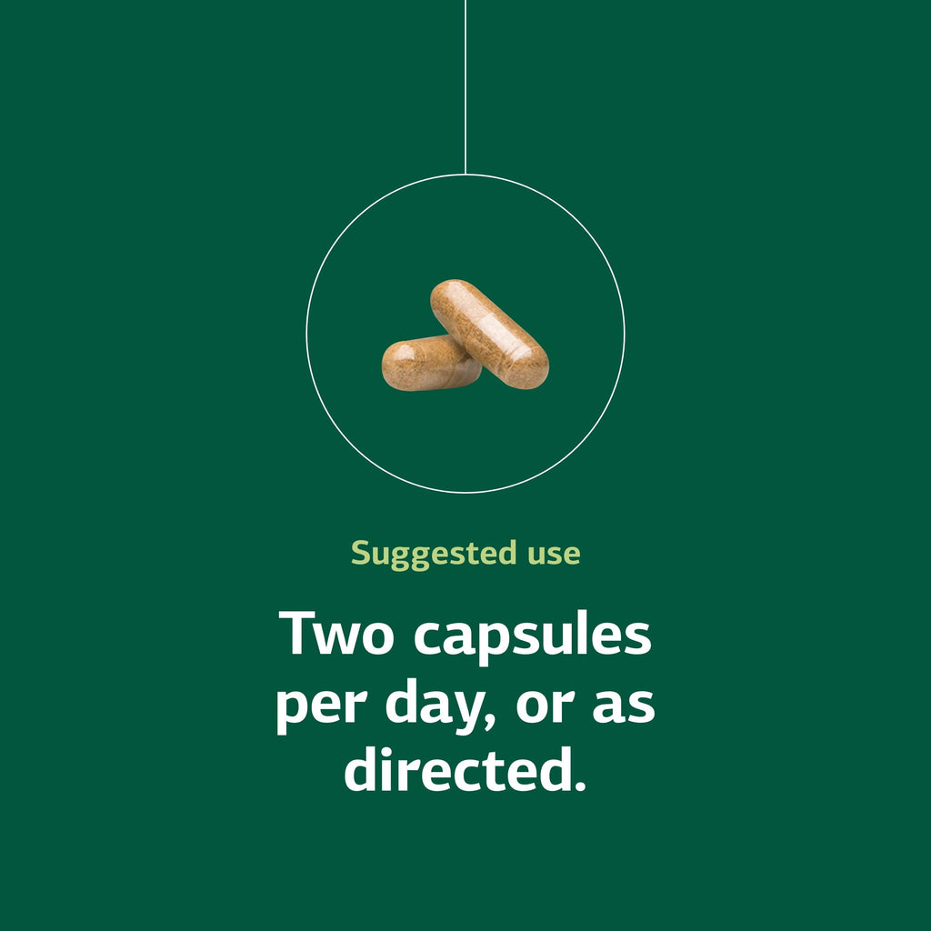 Standard Process Neuroplex Nervous System Support - 90 Capsules - image 5