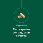 Standard Process Neuroplex Nervous System Support - 90 Capsules - image 5