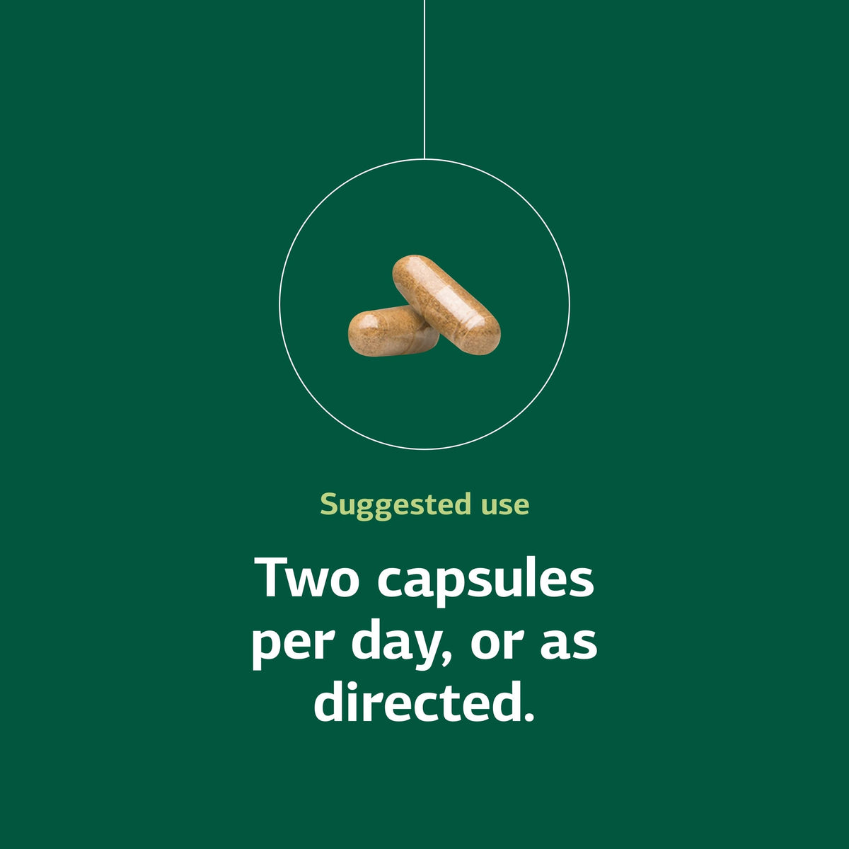 Standard Process Neuroplex Nervous System Support - 90 Capsules - image 5