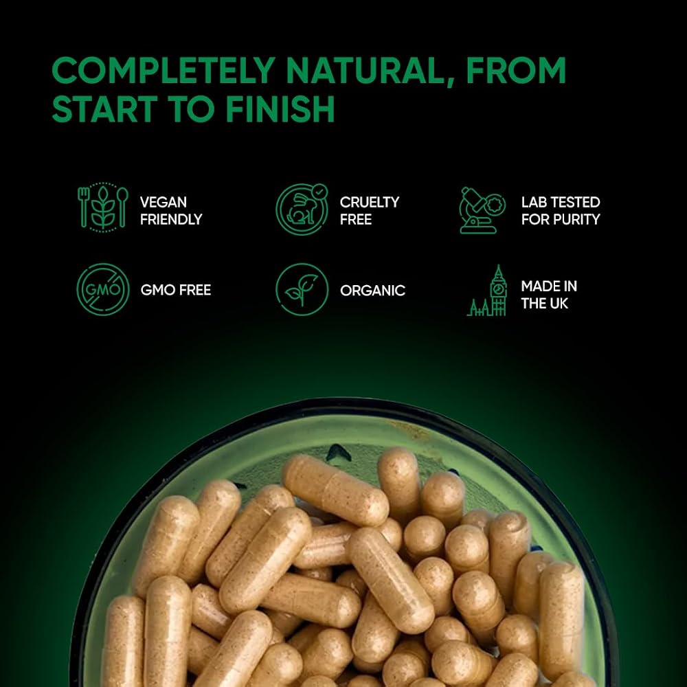 FRIEND OF DOROTHY - Bottom Fiber Supplement for Effortless Prep Time