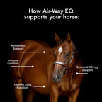 MVP Air-Way EQ Lung Support for Horses - 5lb - image 5