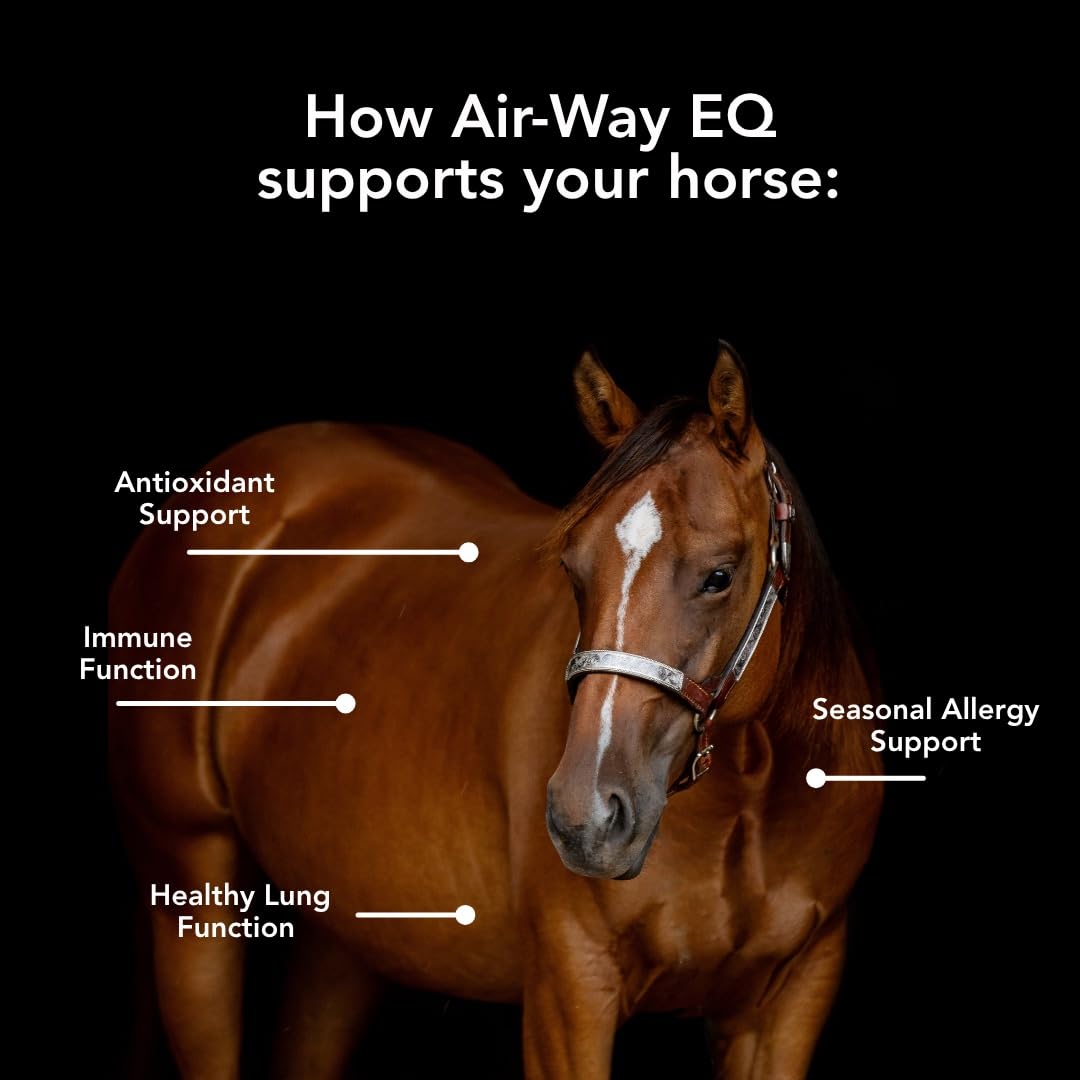 MVP Air-Way EQ Lung Support for Horses - 5lb - image 5