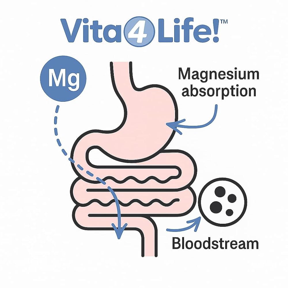 Vita4Life Magnesium Citrate 420mg High Absorption - 240 Capsules - image 5