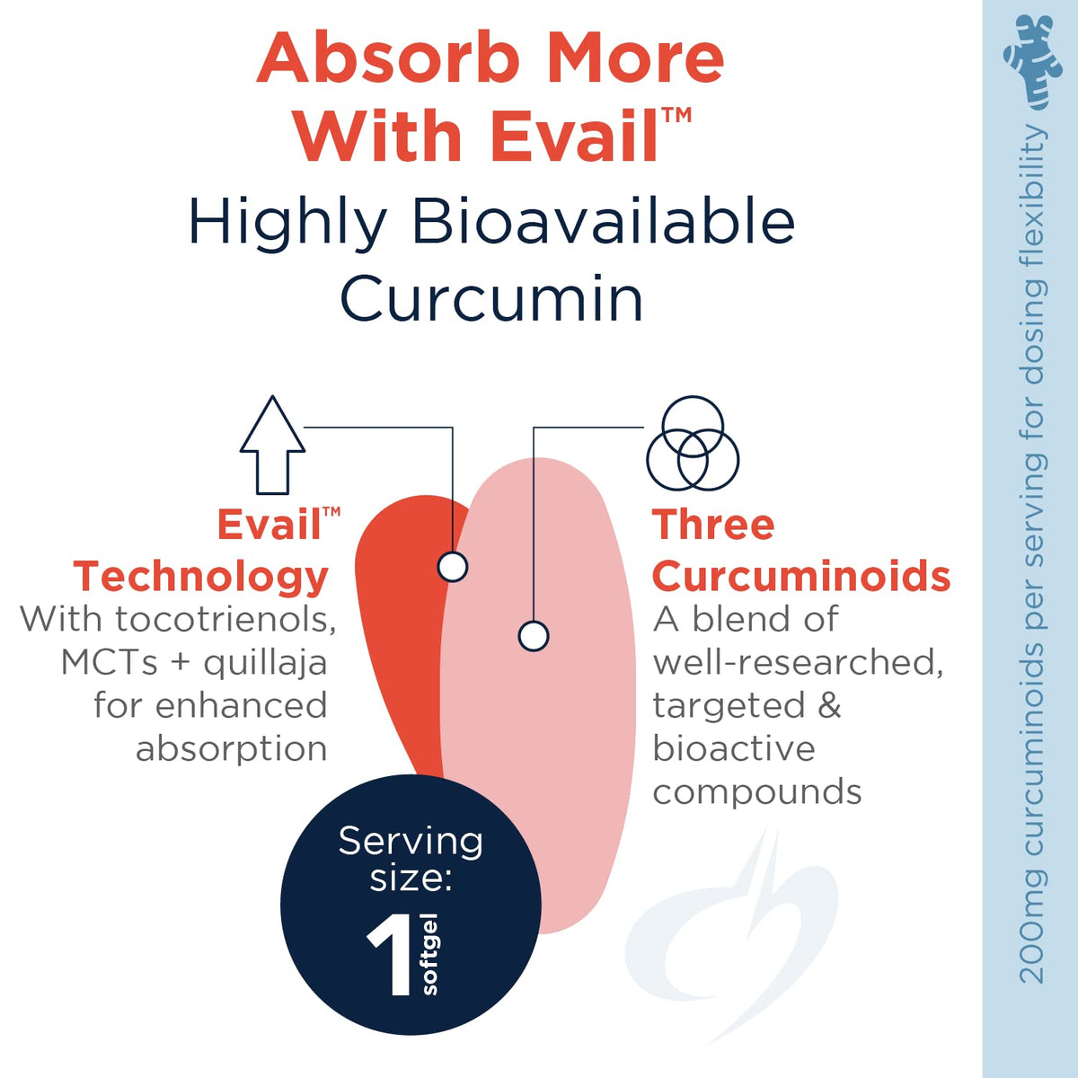 Designs for Health Curcum-Evail 400 Turmeric Curcumin - 120 Softgels - image 2
