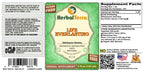 Herbal Terra LLC Life Everlasting (Helichrysum stoechas) Tincture