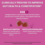 Llama Naturals Real Fruit Prebiotic & Probiotic Gummies for Adults