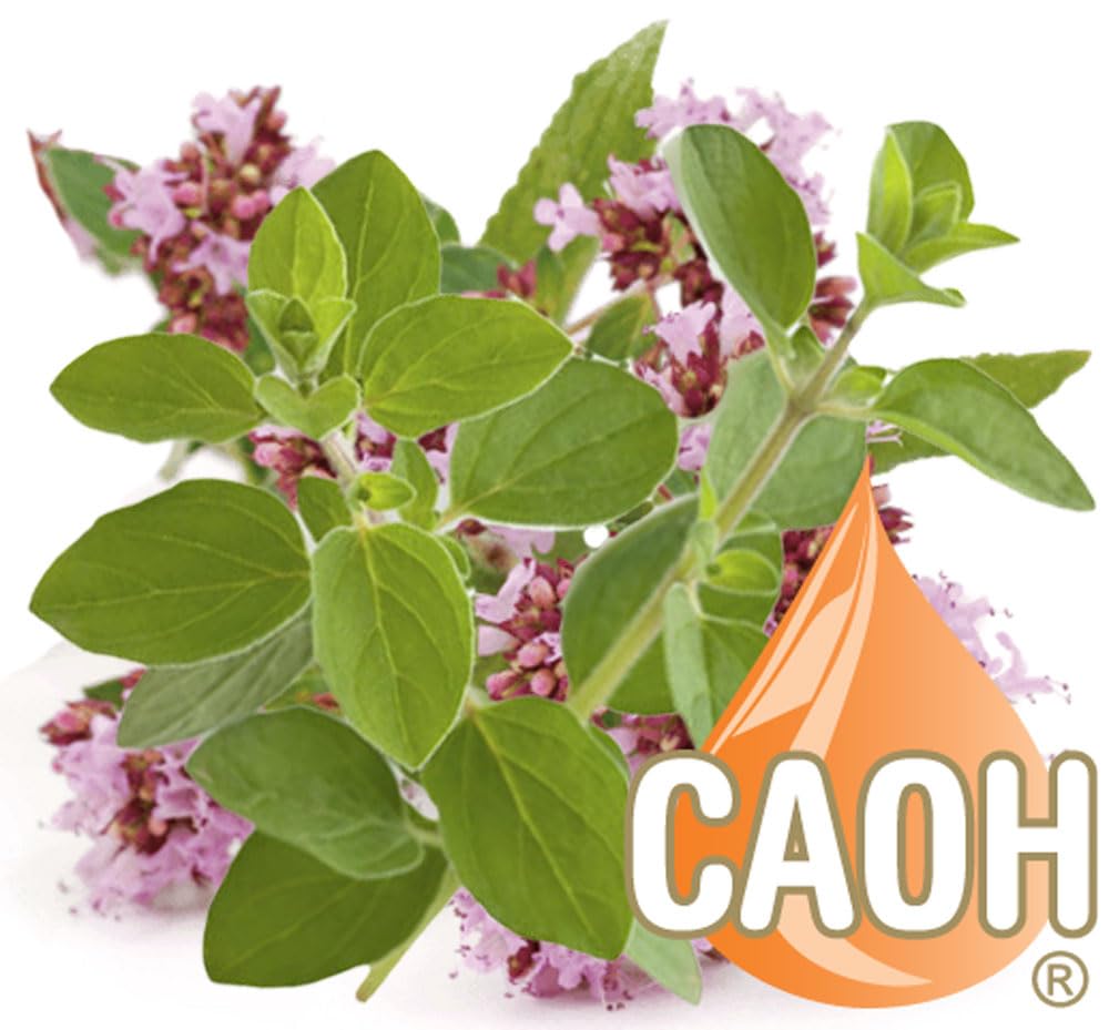 California Academy of Health Oregano Oil - 2 fl oz - image 4